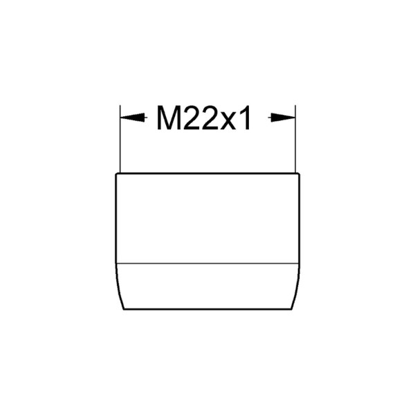 GROHE 13928000 Mousseur Strahlregler M22 x1 für Spültischbatterien 