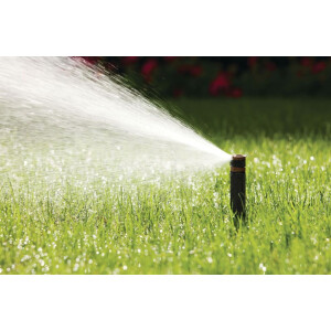 Rain Bird Sprühkopf/-düse zu Serie 1800 / UNI-Spray - Typ HE-VAN-12 Braun
