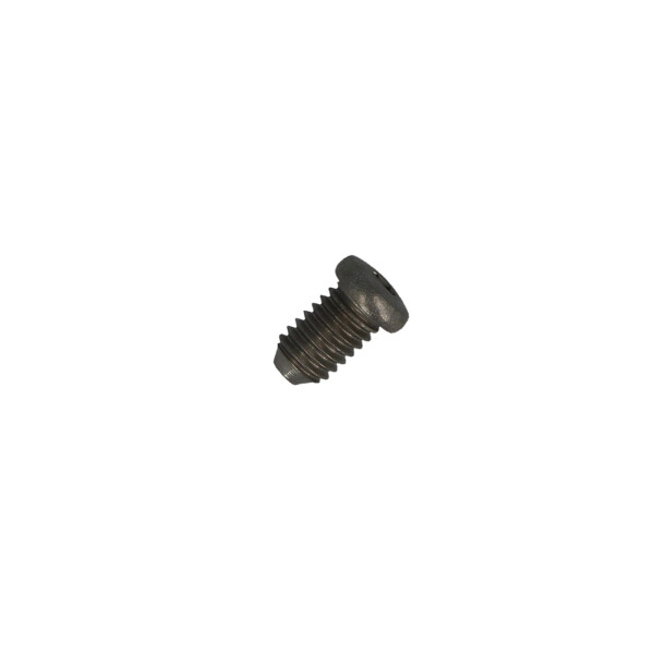 HANSA Anschlagschraube M6 x 10 SW 2,5 - 59911435