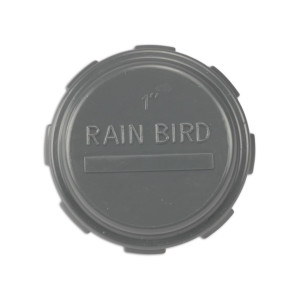 Rain Bird PVC Gewindekappe grau - 1 Zoll IG
