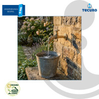 tecuro Nostalgie-Auslaufventil - Gartenventil mit Drachenkopf, mit Wandrosette