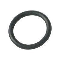 KLUDI O-Ring aus Kunststoff, schwarz 16,3 x 2,4 - 92502911-00