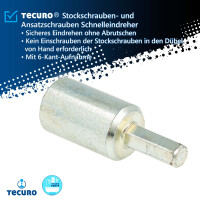 tecuro Stockschrauben Schnelleindreher M10 mit 6-Kant-Aufnahme, verzinkt