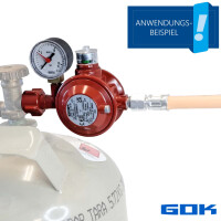 GOK Niederdruckregler Typ EN61-DS mit Überdrucksicherung KLF x G1/4LH-KN, 50mbar