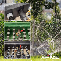 Rain Bird Verteilerkasten Ventilkasten mit 4 Ventilen 24 V, 1 Zoll (DN 25), vormontiert