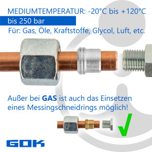 Schneidringverschraubung Typ W - 90° Winkel Verschraubung Ø 10 x 10 mm, Stahl verzinkt, Schneidring Stahl